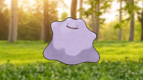 mega ditto|Ditto (Pokémon) .